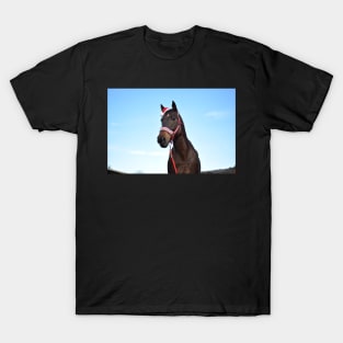 christmas horse photograph T-Shirt